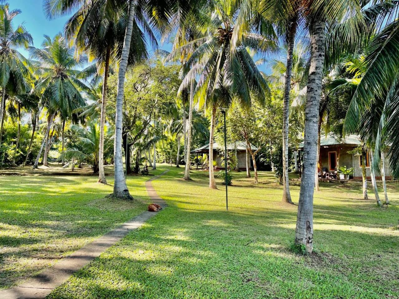 Udawalawa Safari Resort 우다왈라웨 외부 사진
