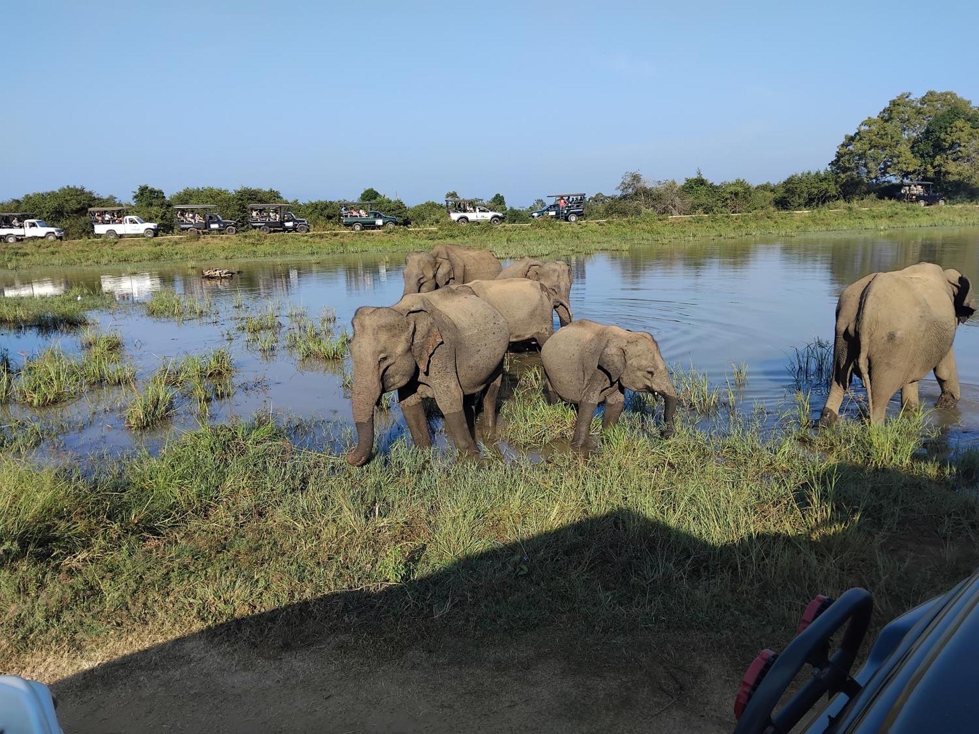 Udawalawa Safari Resort 우다왈라웨 외부 사진