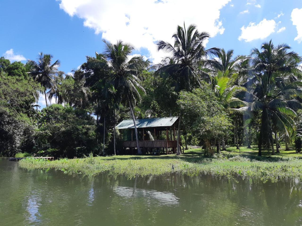 Udawalawa Safari Resort 우다왈라웨 외부 사진